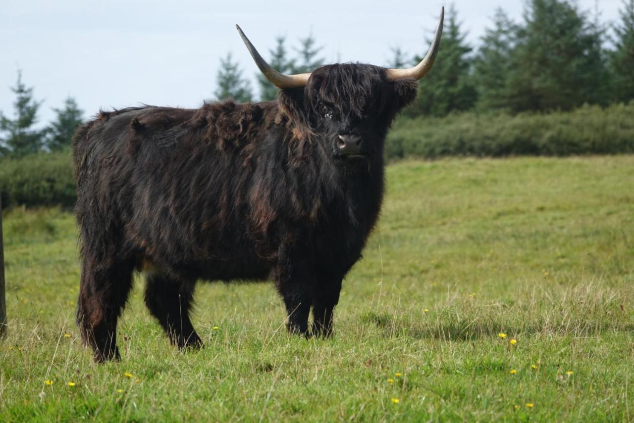 Loch Gorm House Bed & Breakfast Bruichladdich ภายนอก รูปภาพ